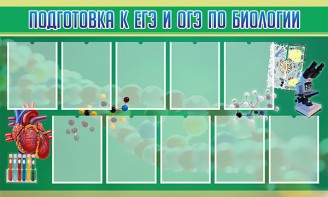 Стенд "Подготовка к ЕГЭ и ОГЭ по биологии" Вариант 2 - fgospostavki.ru - Зеленогорск