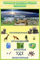 Стенд "Уровни организации живого" - fgospostavki.ru - Зеленогорск