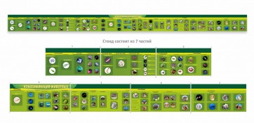 Стенд "Классификация групп животных" - fgospostavki.ru - Зеленогорск