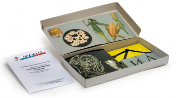 Модель-аппликация "Основные направления эволюции" (набор из 33 карт) - fgospostavki.ru - Зеленогорск