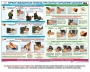 Комплект плакатов "Оказание первой доврачебной медицинской помощи" - fgospostavki.ru - Зеленогорск