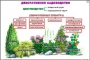 Комплект кодотранспарантов "Культурные растения" - fgospostavki.ru - Зеленогорск
