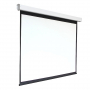 Экран настенный с электроприводом DSEF-16909 - fgospostavki.ru - Зеленогорск